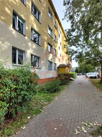 Toruń, Bażyńskich - Фото 3