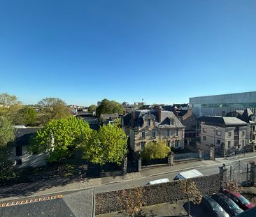 Location Appartement 1 pièce 29m² RENNES 35000 - Photo 2