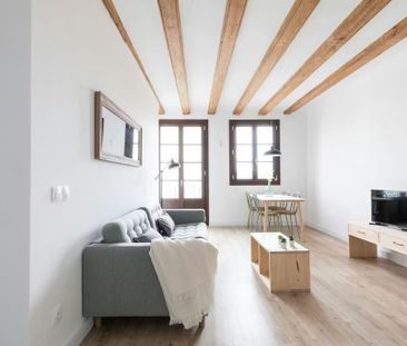 Carrer de Joaquín Costa, Barcelona, Catalonia 08001 - Photo 6