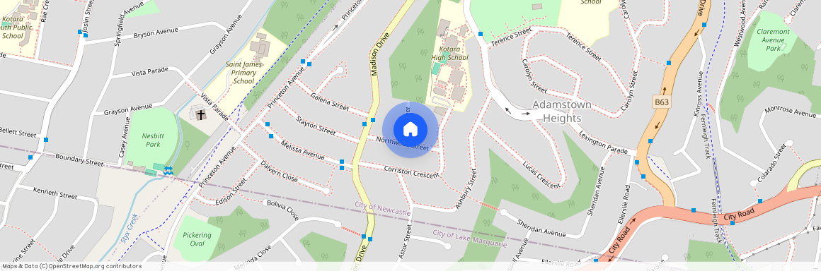 10 Northwood Street, NSW 2289, Adamstown Heights