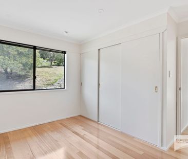 Serene & Secluded - Photo 3