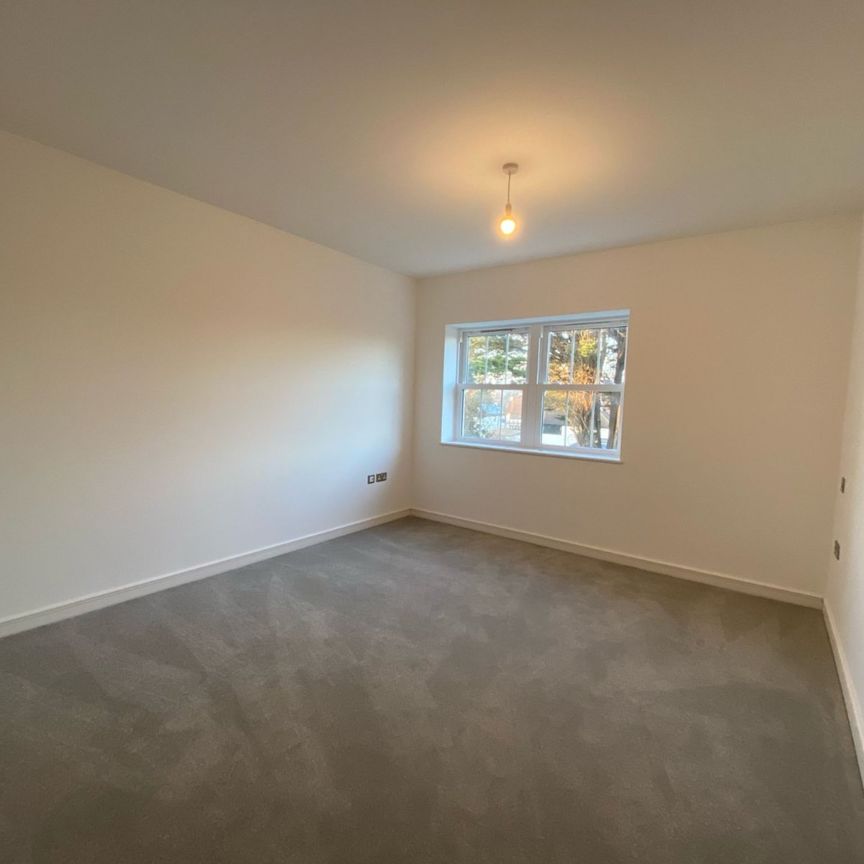 5 Juniper View - Photo 1