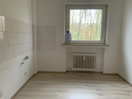 Demnächst frei! 3-Zimmer-Wohnung in Recklinghausen Hochlarmark - Photo 2