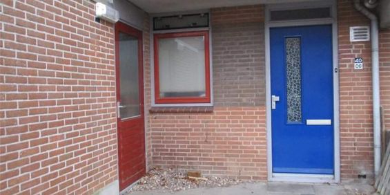 Appartement Kamp 40, Boswijk, Lelystad - À Louer - Foto 3