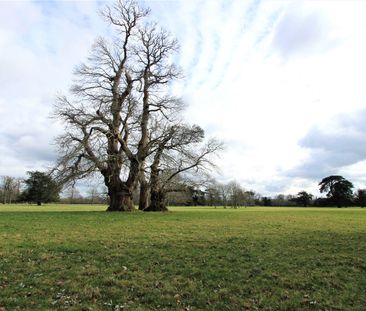 3 bedroom maisonette to rent - Photo 6