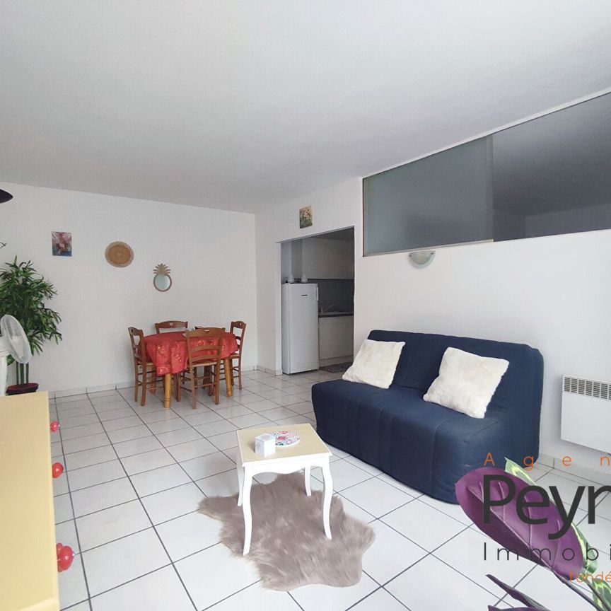 Location Appartement 2 pièces 55m² PERPIGNAN 66000 - Photo 1