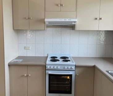 Spacious and Super Affordable ! 2 Bedroom Unit in the heart of Otto... - Photo 2