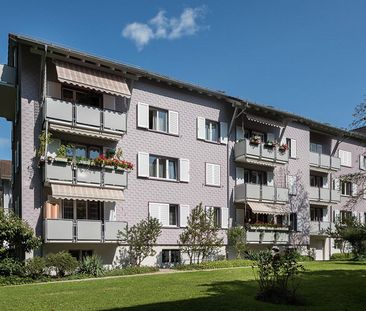 3-Zimmer-Wohnung in Schaffhausen - Photo 6