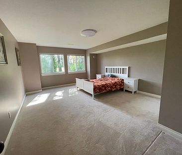 Morgan Creek Clean and Airy Basement Suite - Photo 6