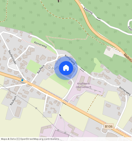 Obervellach, Räuflach ** (4- Zimmerwohnung), 3211, Bau