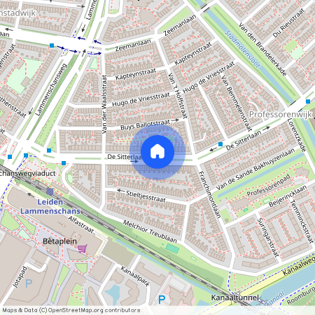 Professorenwijk-West, 2313 TP, De Sitterlaan, Leiden