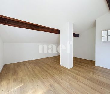 4 Zimmer, 120 m², EG - Foto 6