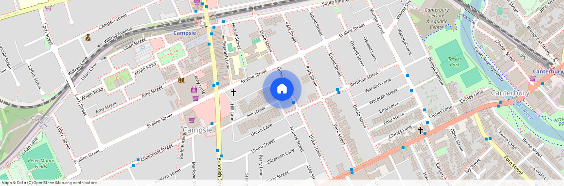 54 Duke Street, NSW 2194, Campsie