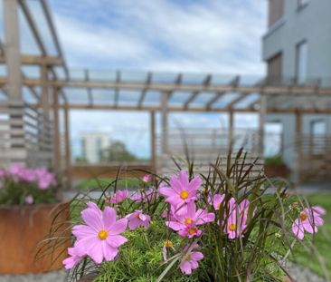 Sköntorpsvägen 29C - Photo 4