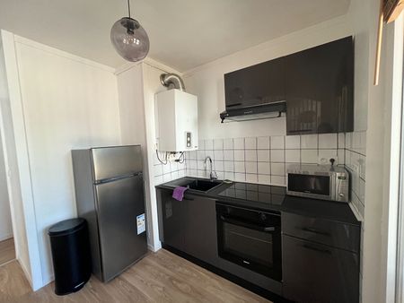 colocation dans appartement 4 pièces proche CHU - Photo 4