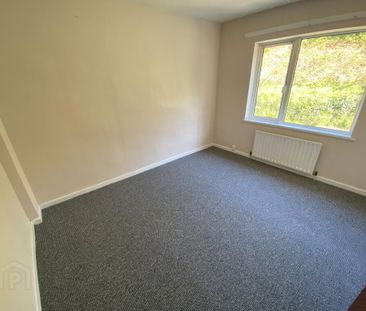 27 Ardpatrick Avenue, Downpatrick, BT30 6JF - Photo 3