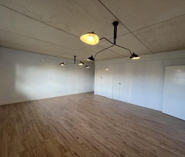 Four bedroom home in Frankleigh Park - Photo 4