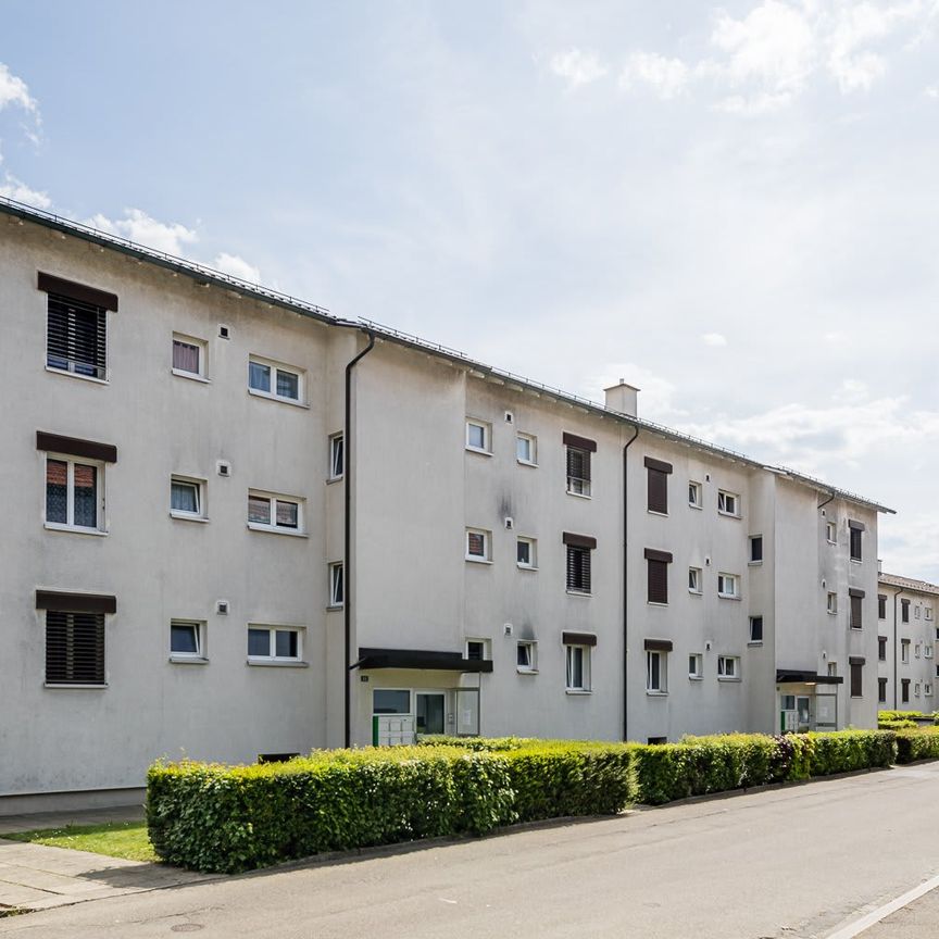 4 Zimmer, 66 m², 1. Stock - Photo 2