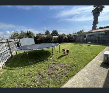11 Monash Street, Traralgon, Vic 3844 - Photo 4