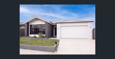 AMAZING 4 BEDROOM HOME ALFREDTON - Photo 5