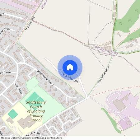 19 Wild Flower SP7 8UA