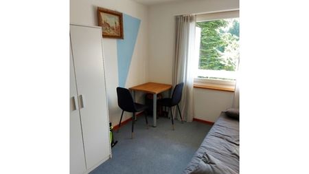 3 Zimmer-Wohnung in Oetwil am See (ZH), möbliert, auf Zeit - Foto 5