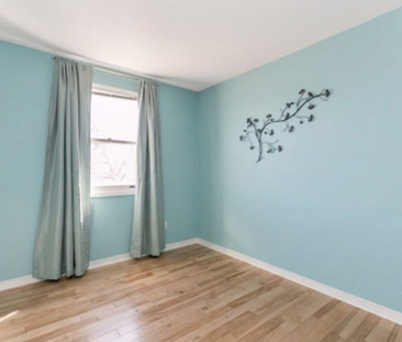 For Lease - 61 Herrell Avenue, Barrie, Ontario - Photo 3