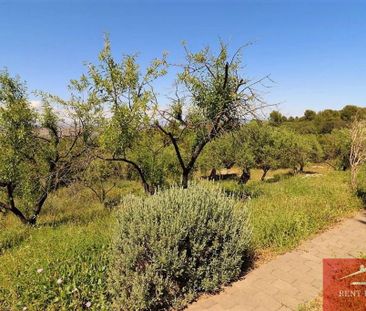 Luxury Villa for rent in Alhaurín el Grande, Spain - Photo 6