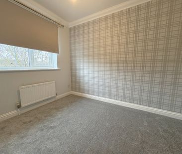 Elm Road, March - Photo 5