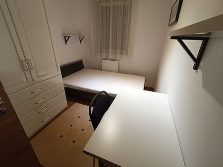 Dandár Park - Fotó 4