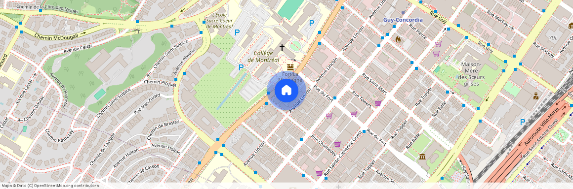 2076 Rue Sherbrooke Ouest, Ville-Marie, Ville-Marie, Ile de Montréal, H3H 1G6
