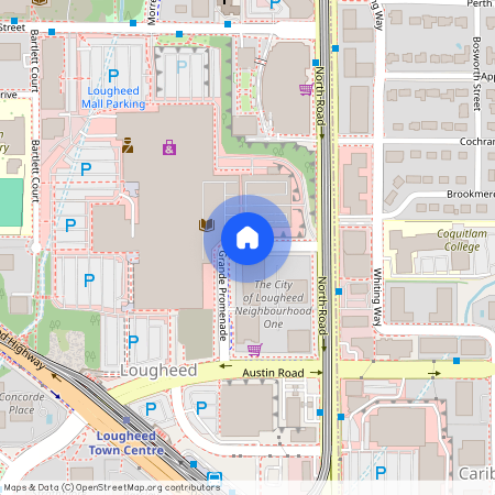 google map, Burnaby, Burnaby, Metro Vancouver, V3J 0L3