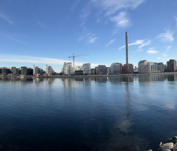 Barlastgatan, Limhamn - Foto 5