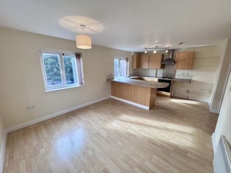 Carlton Heights, Carlton Hill, Property for rent - Photo 5