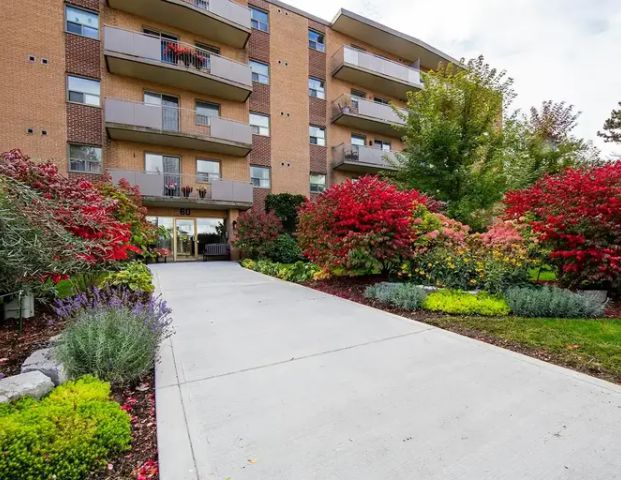 50 & 60 Second Avenue | 50 & 60 Second Avenue, Orangeville - Photo 1