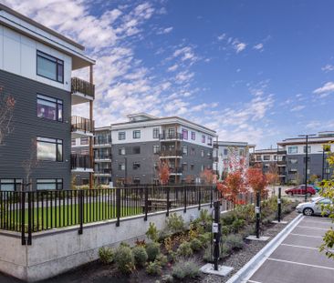 Merewood Apartments - Photo 2