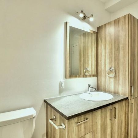 3 1/2 À LOUER-SAINT-JACQUES-APPARTEMENT À LOUER - Photo 4