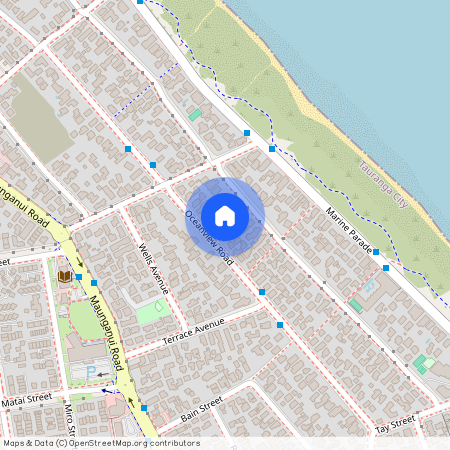 107B Oceanview Road, Mt Maunganui