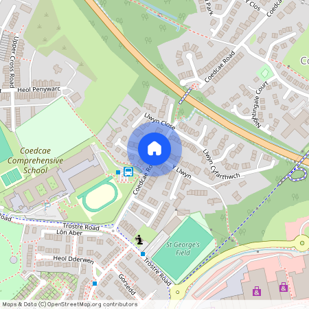 Y Llwyn, Coedcae, Llanelli