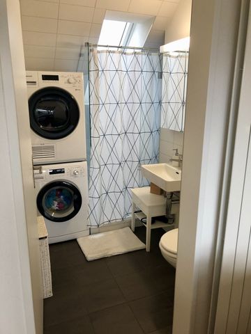 APPARTEMENT DE 2 PIÈCES À WINTERTHOUR, MEUBLÉ, TEMPORAIRE - Foto 3