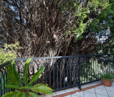 Chic Furnished Apartment in Gorgeous Linley Point - Photo 2