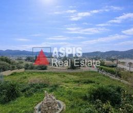 Μονοκατοικία για ενοικίαση - Ανάβυσσος - Photo 6