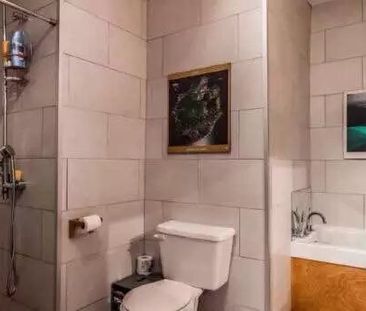 5&half 1000 Pc Open Concept Metro Monk - Photo 3