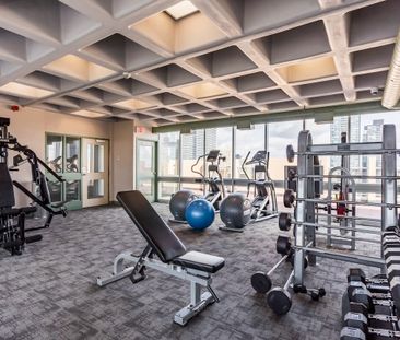Wellesley Apartments - 1 Bedroom - Photo 3