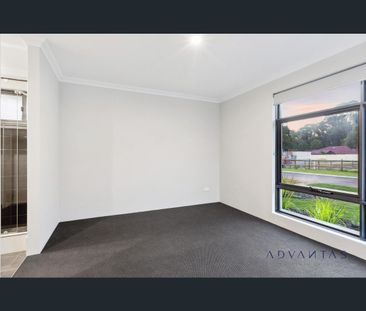 20 Borlaug Cct, Baldivis, WA 6171 - Photo 4
