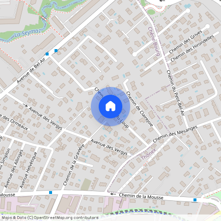 Chemin du Saut-du-Loup 18, 1225 Chêne-Bourg