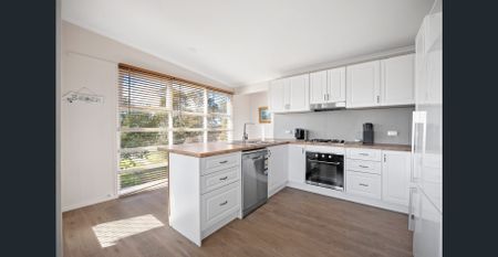 Space ✧ Costal ✧ Tranquility - Photo 4