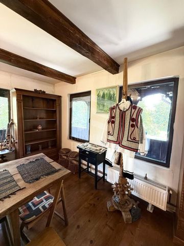Casa autentica maramureseana de vanzare in Snagov-Tancabesti - Photo 5