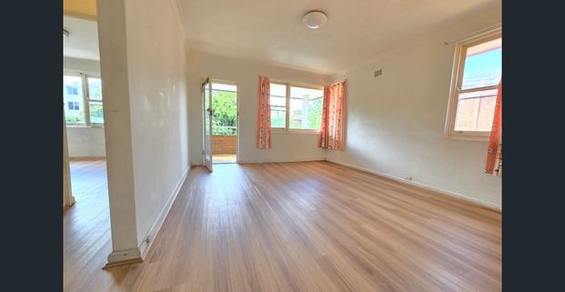 Modern 2-Bedroom Apartment in Prime Randwick Location - Photo 1