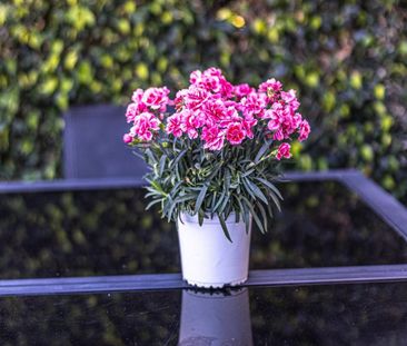 Semi-Detached House in La Cala Golf - Photo 6